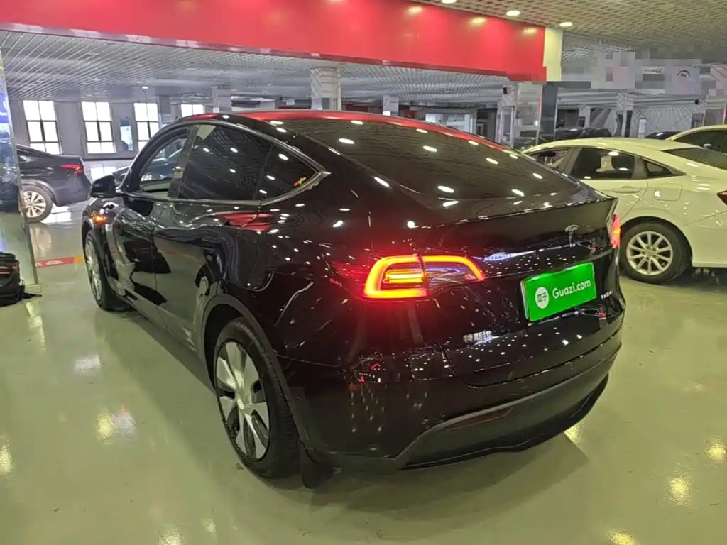 Tesla Model Y — миниатюра 5
