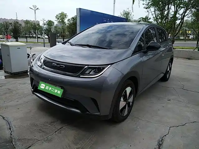 2024 BYD Dolphin
