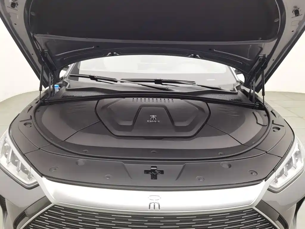 BYD Song Plus PLUS 2021 DM-i 110KM Flagship