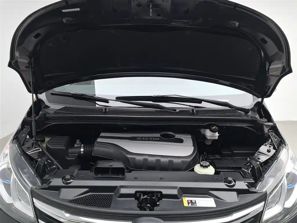 SAIC MAXUS CHASE G10