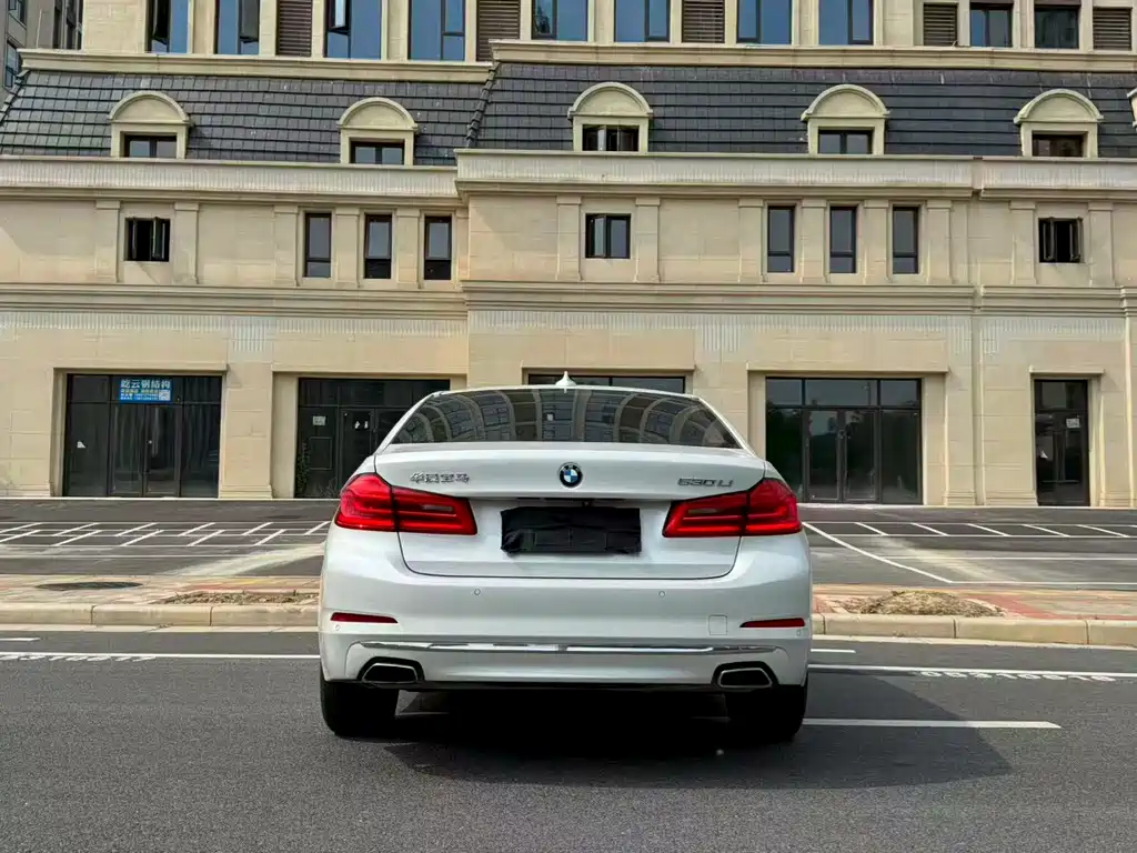 BMW 5 Series 5 2019 530Li Lead Luxury
