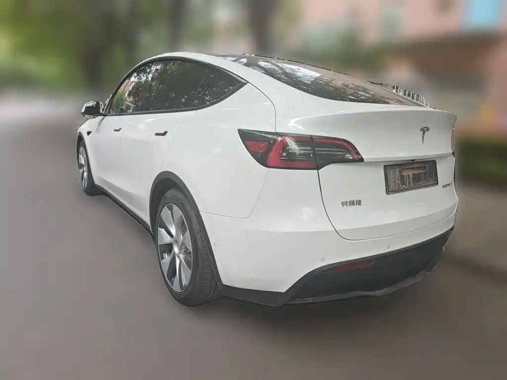 Tesla Model Y — миниатюра 4