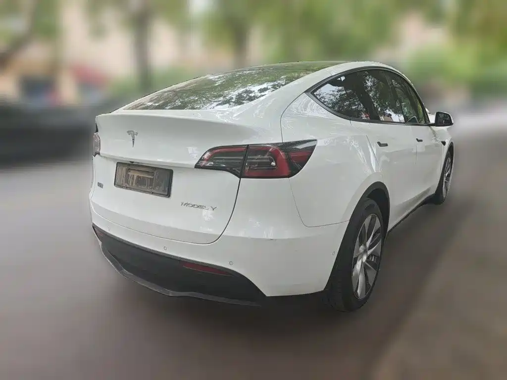 Tesla Model Y — миниатюра 6