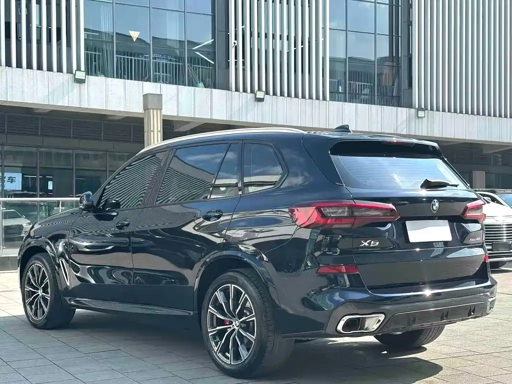 BMW X5 — миниатюра 9