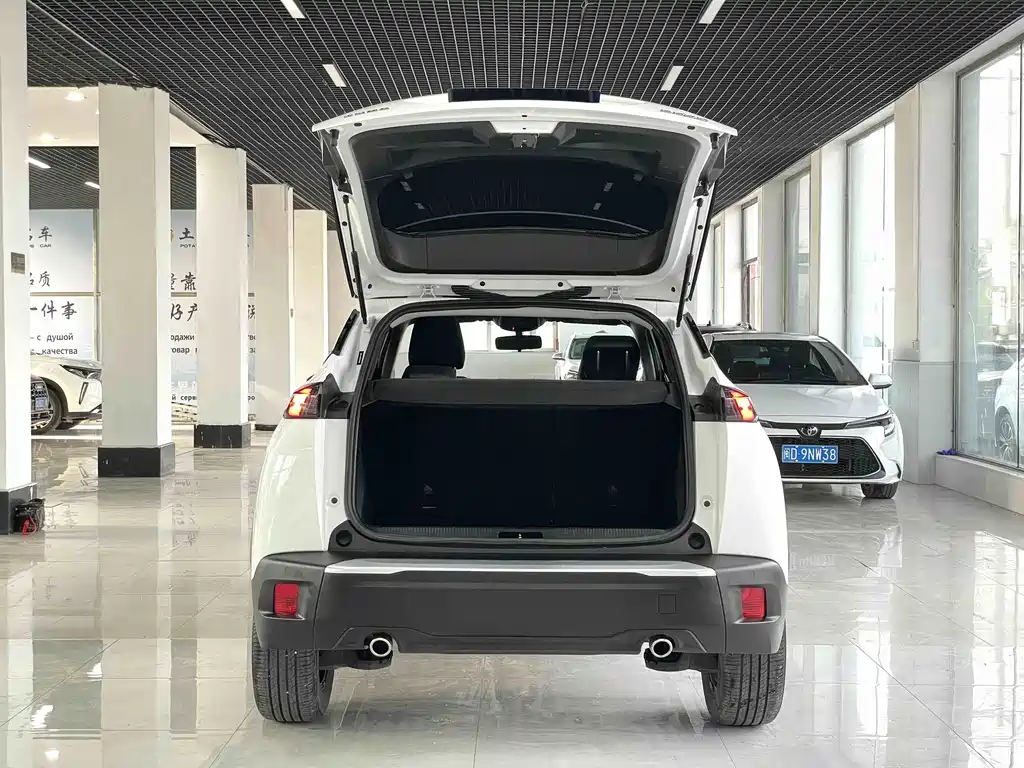 Peugeot 2008 230THP THE ONE, фото 16