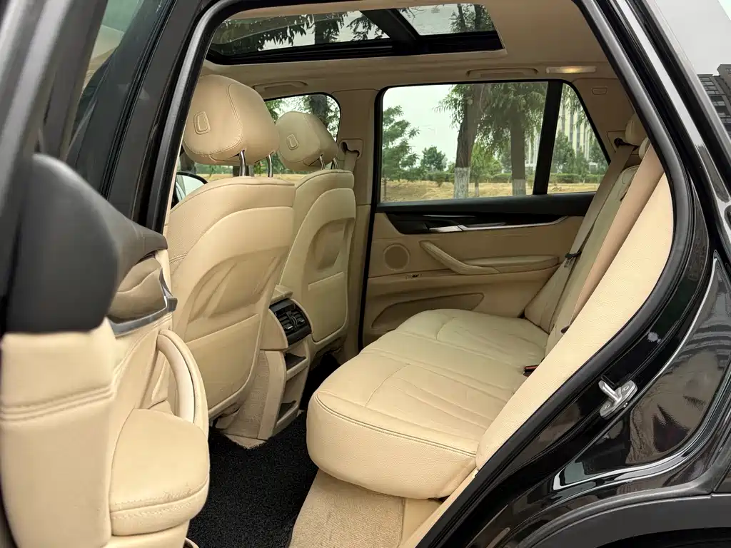 BMW X5 2014 xDrive35i Lead