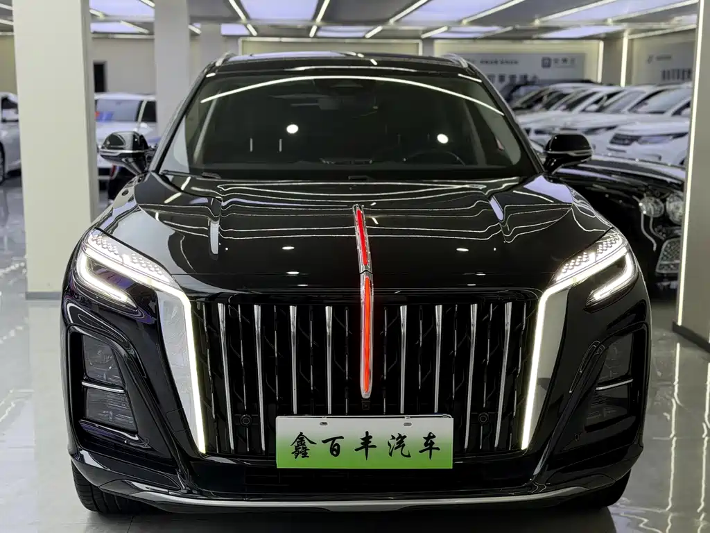 Hongqi Hongqi HS3 PHEV — миниатюра 2