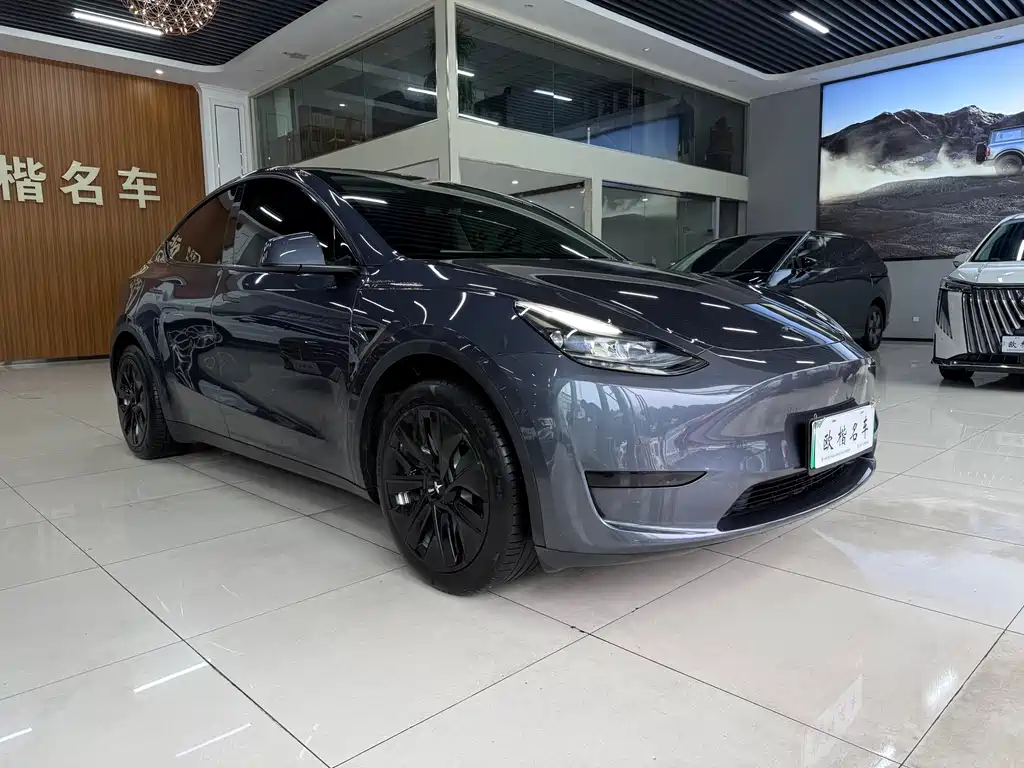 Tesla Model Y — миниатюра 3