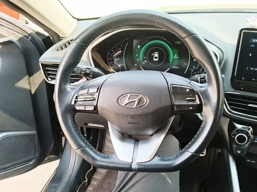 Hyundai Fista — миниатюра 11
