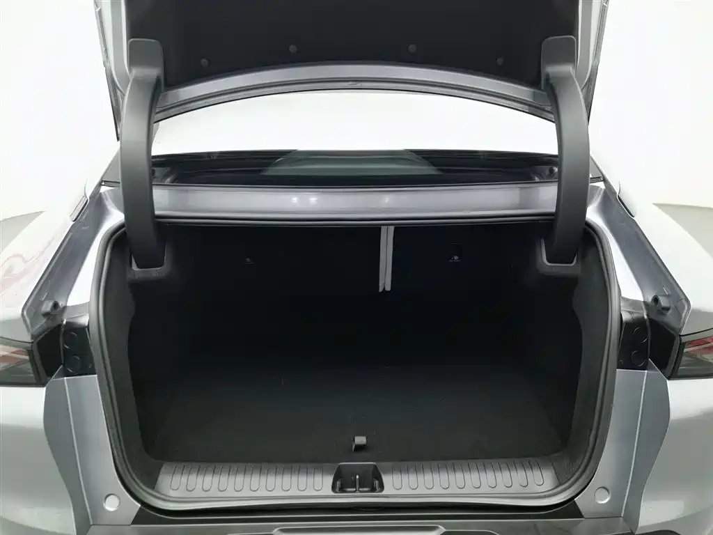 ARCFOX EXTREME FOX POLAR FOX ALPHA S5