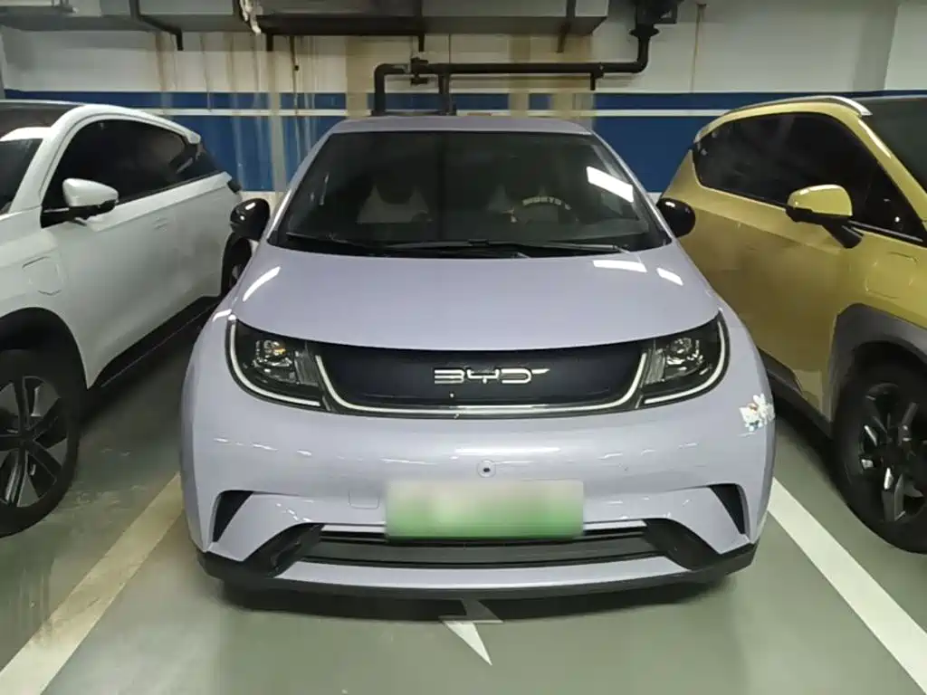 BYD Dolphin — миниатюра 3