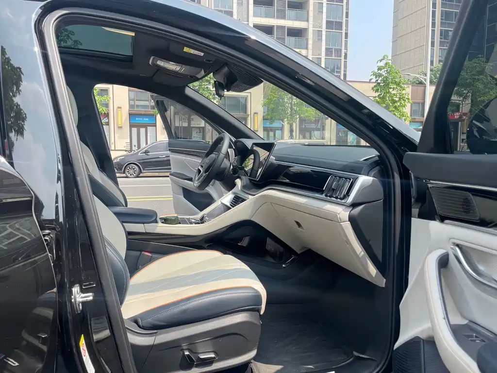 BYD PLUS New Energy — миниатюра 11