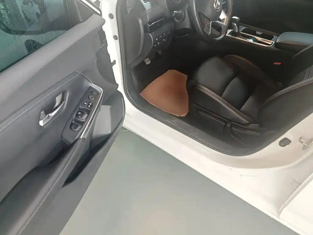 Nissan Sylphy — миниатюра 16
