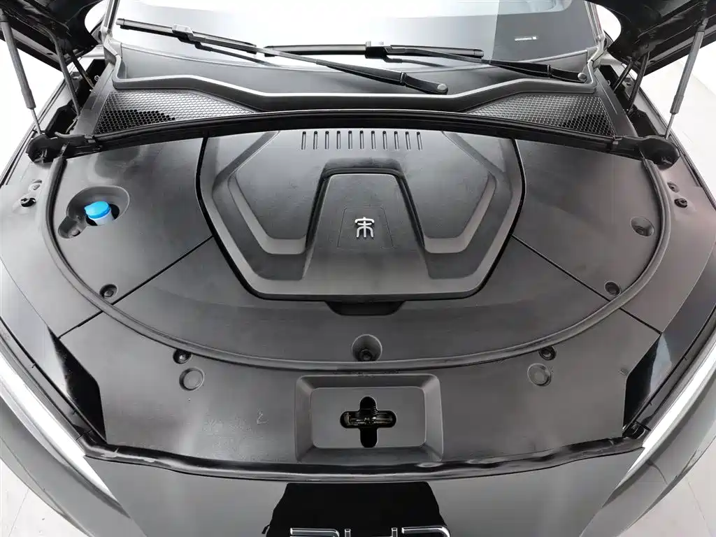 BYD SONGJIANG NEW ENERGY