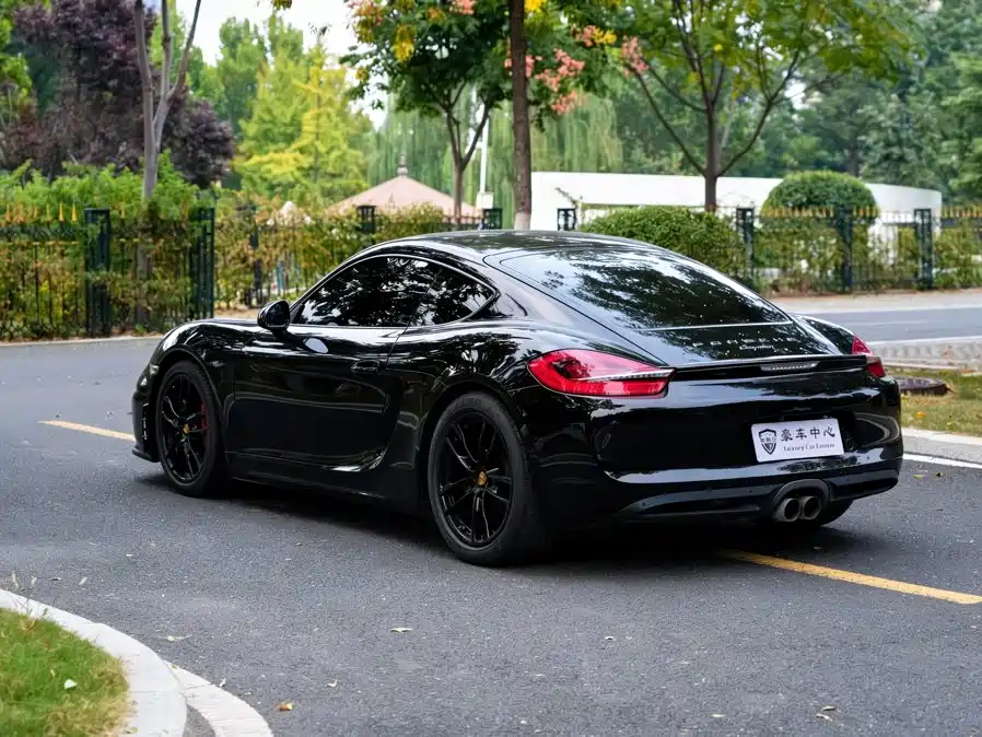 Porsche Cayman — миниатюра 11