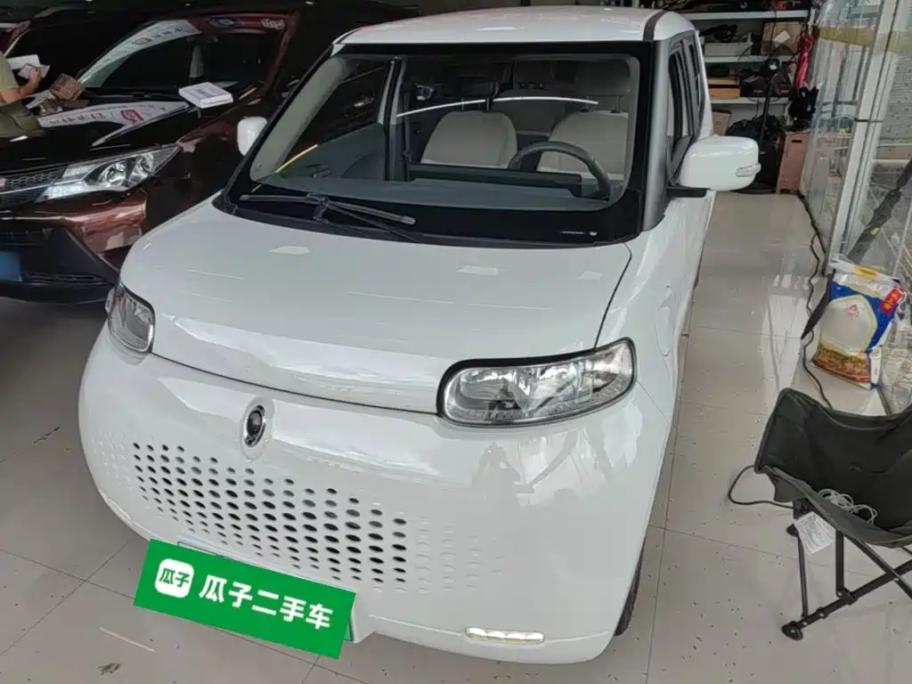 2021 Ora R2/White Cat - zdjęcie 1 z 25