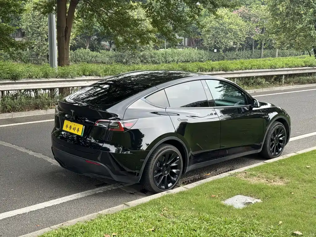Tesla Model Y — миниатюра 7