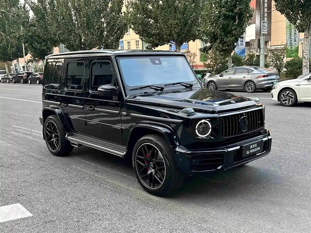 Mercedes-Benz G-Class — миниатюра 6