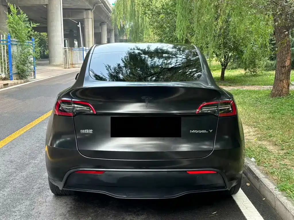 Tesla Model Y — миниатюра 5