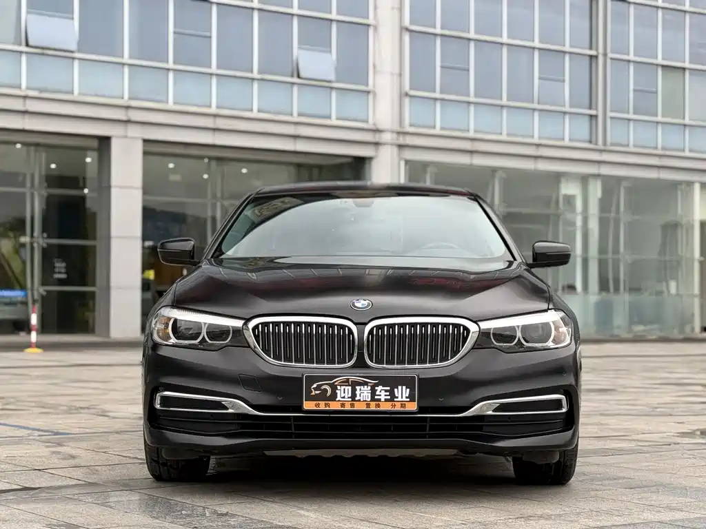BMW 5 Series 5 2020 525Li Luxury
