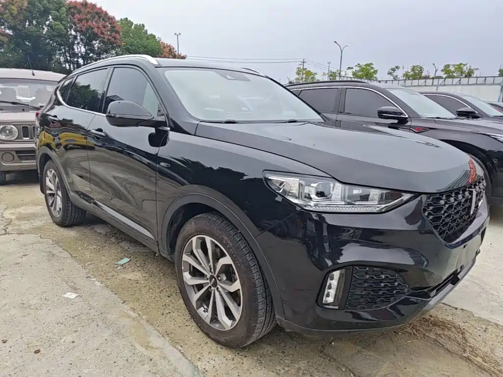 Wey Wey VV6 — миниатюра 4