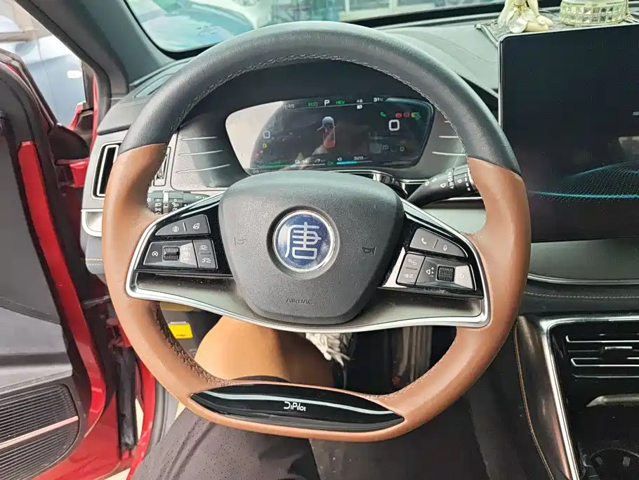 BYD Tang New Energy — миниатюра 15