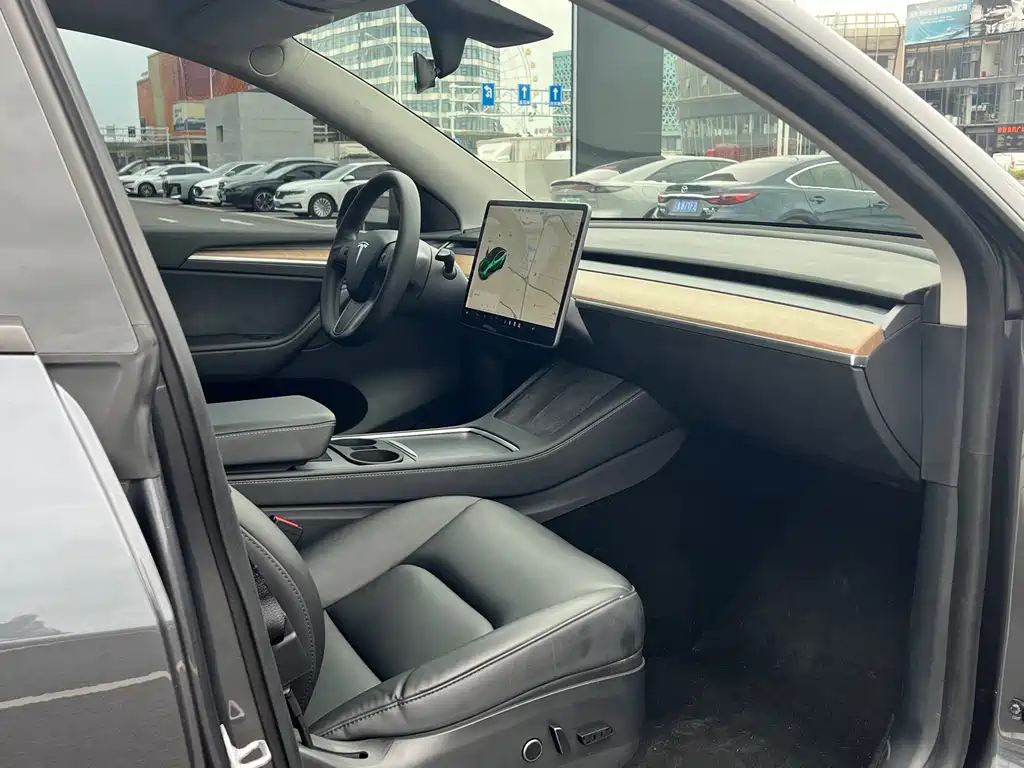 Tesla Model Y — миниатюра 10