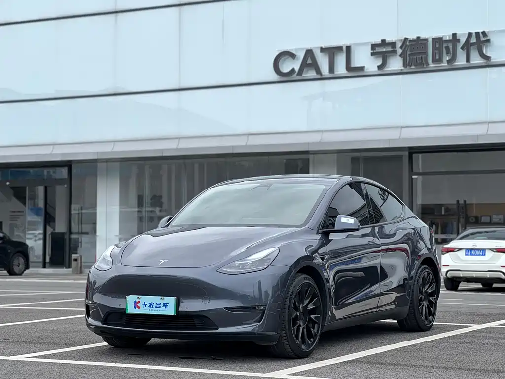 Tesla Model Y — миниатюра 2