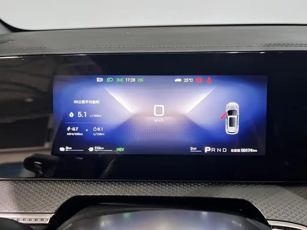 BYD Pro New Energy — миниатюра 20