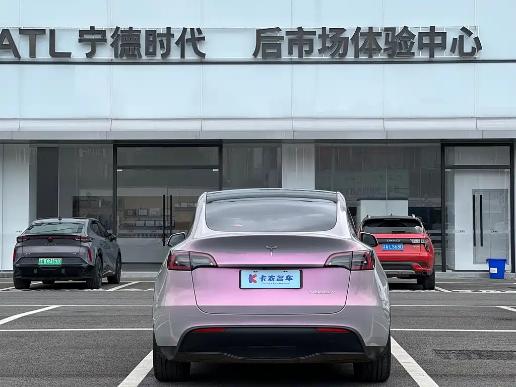 Tesla Model Y — миниатюра 5