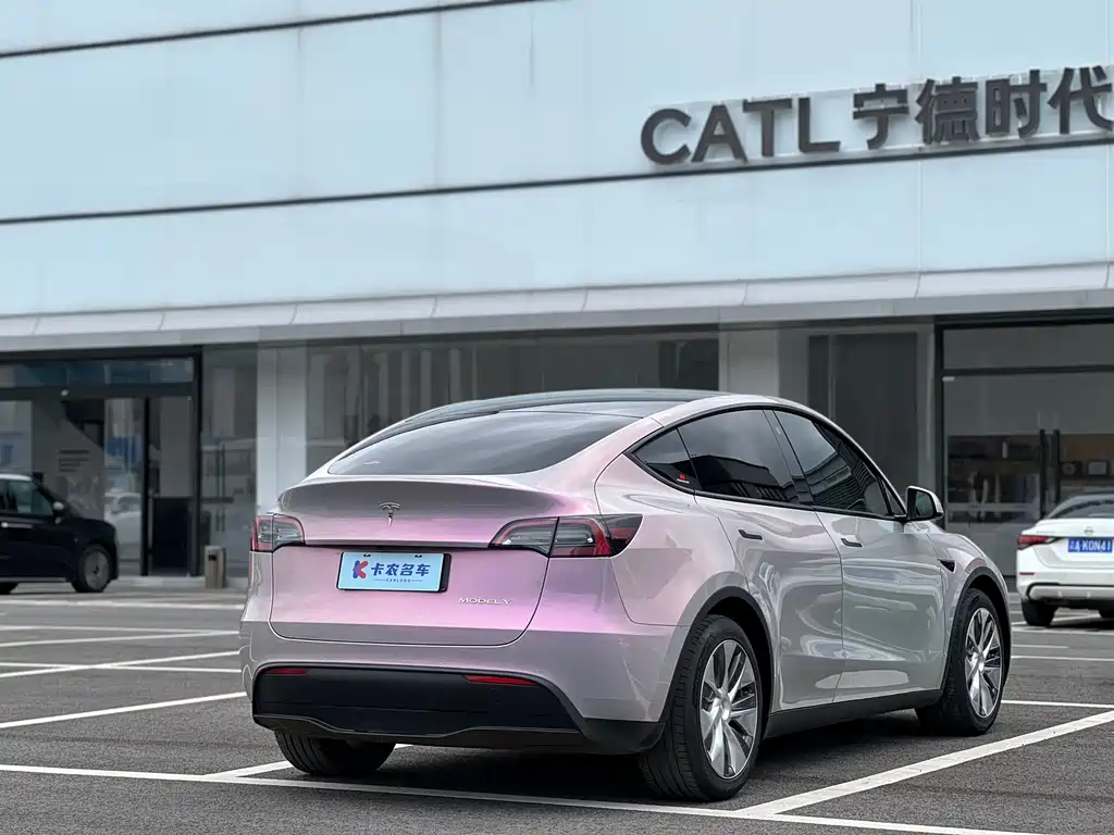 Tesla Model Y — миниатюра 6