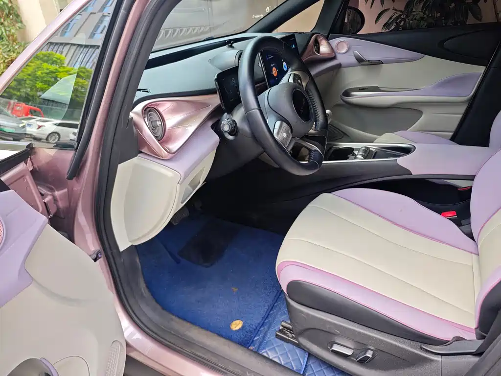 BYD Dolphin 2021 405km Freedom