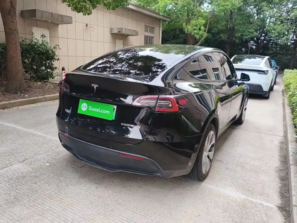 Tesla Model Y — миниатюра 7