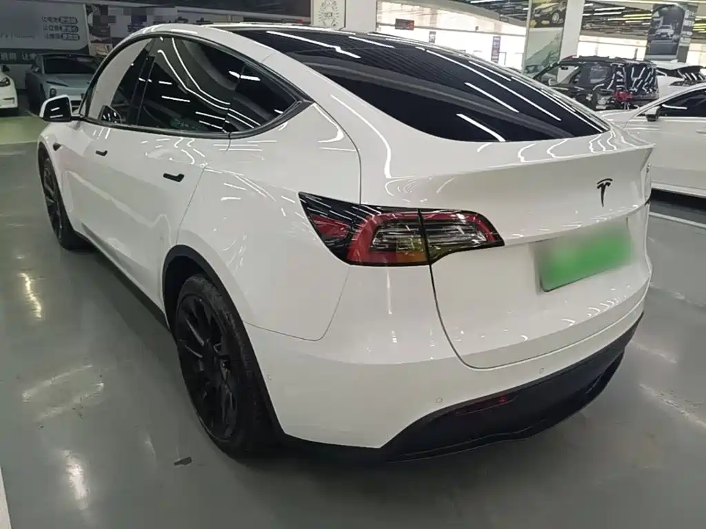 Tesla Model Y — миниатюра 5