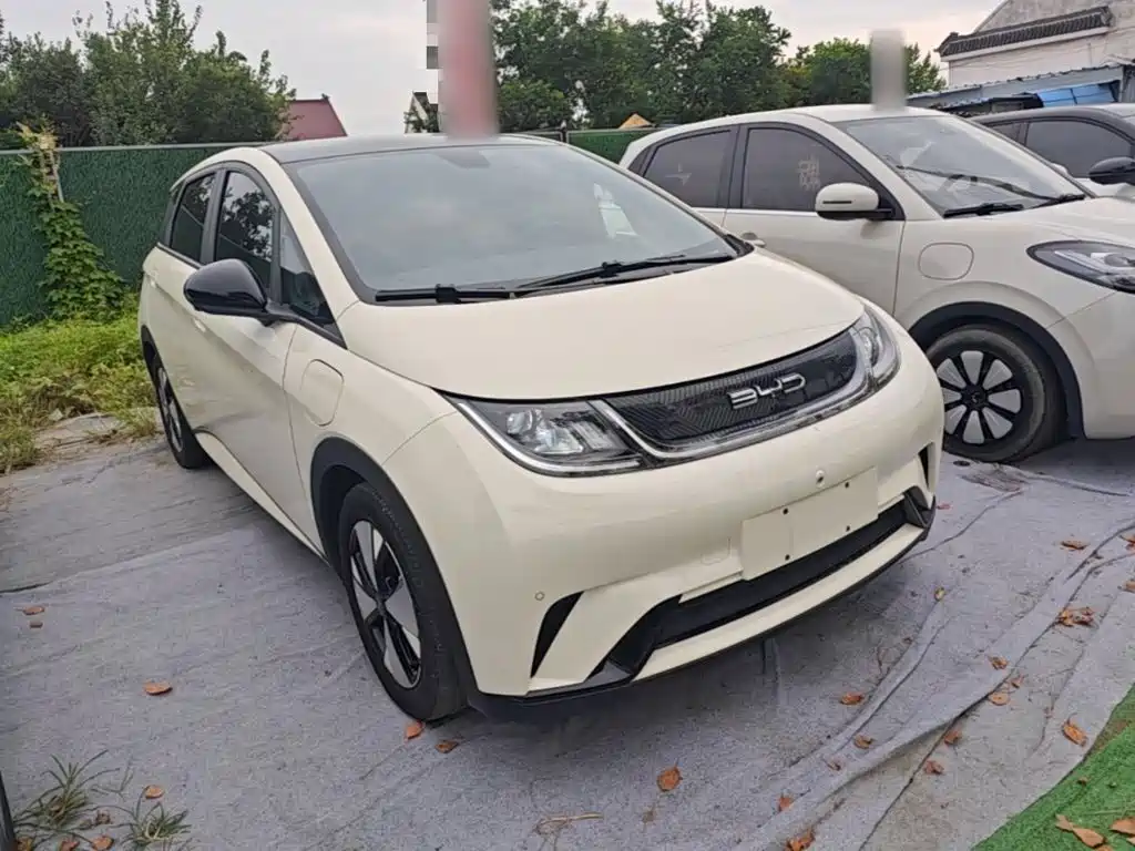 BYD Dolphin — миниатюра 4