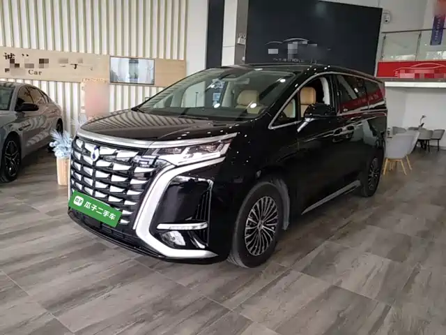 2024 Denza D9