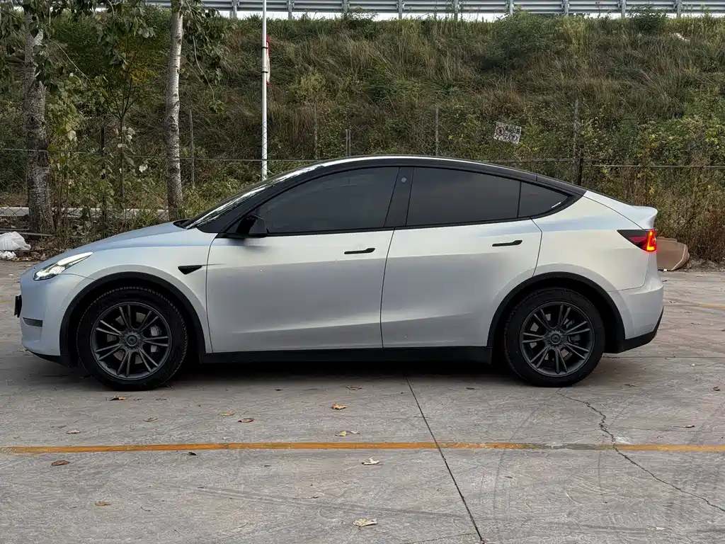 Tesla Model Y — миниатюра 4
