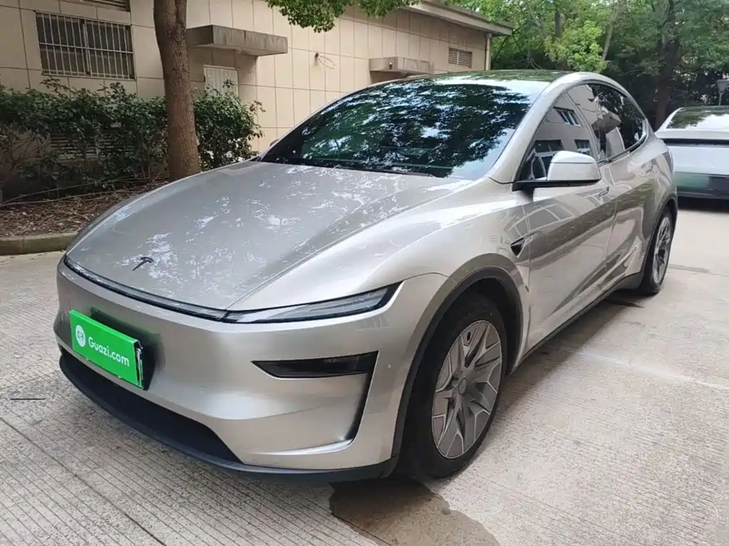 Tesla Model Y L — миниатюра 2