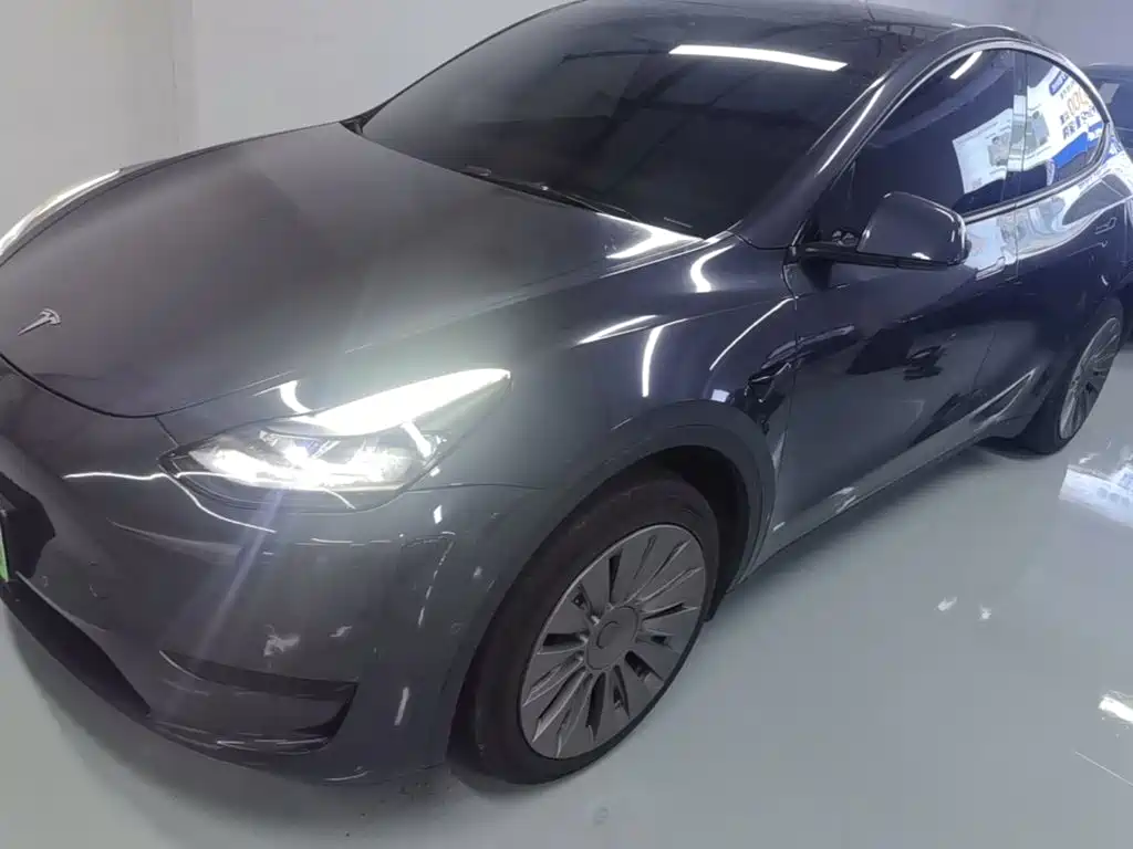 Tesla Model Y — миниатюра 2