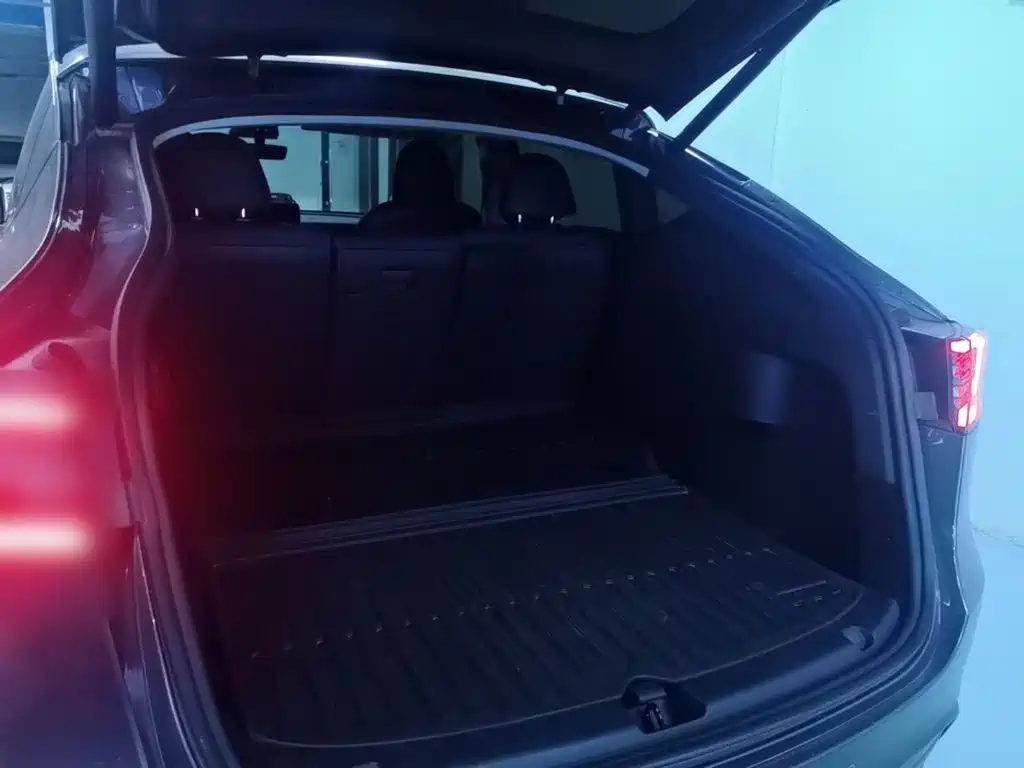 Tesla Model Y — миниатюра 19