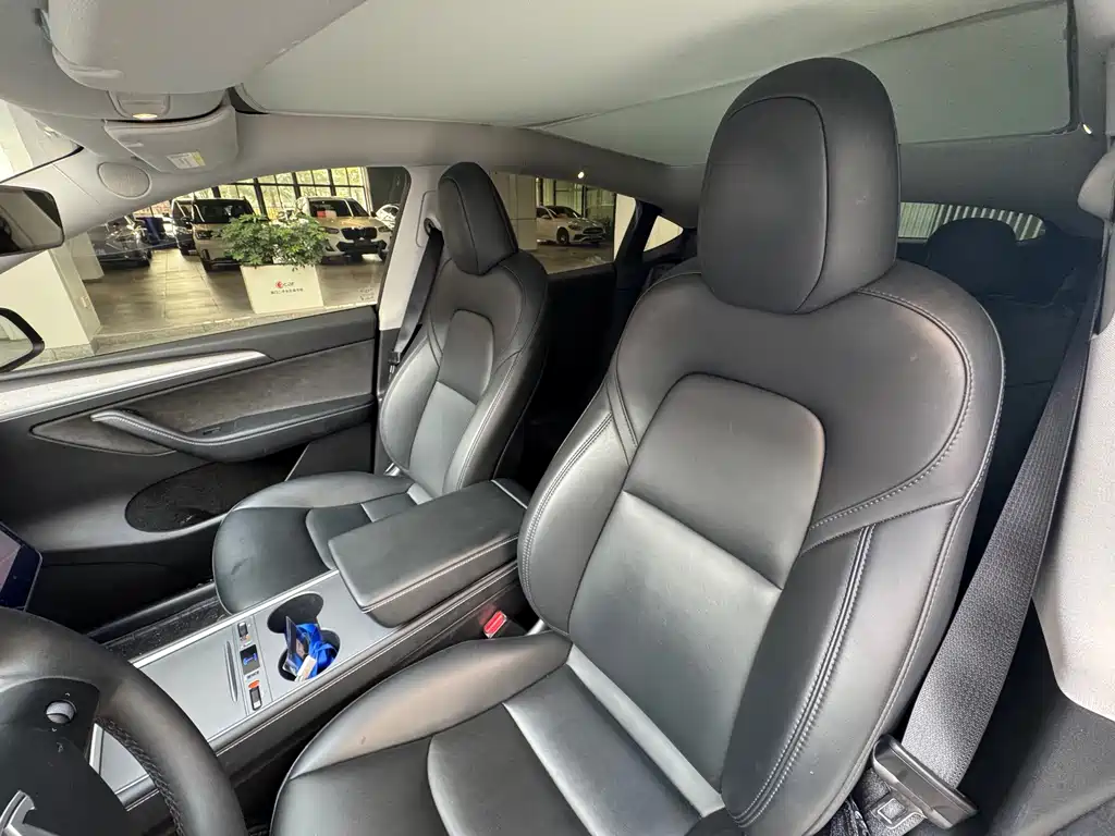 Tesla Model Y — миниатюра 9