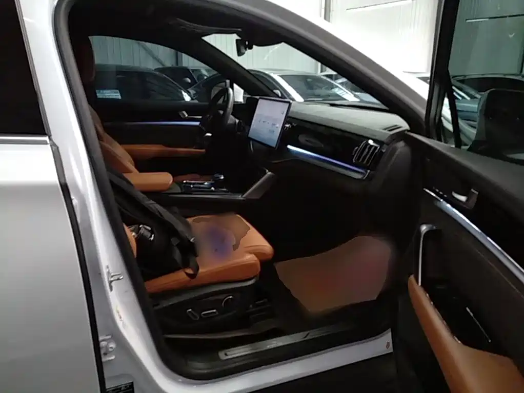 BYD Tang New Energy — миниатюра 25
