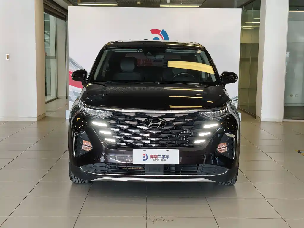Hyundai Custo — миниатюра 2