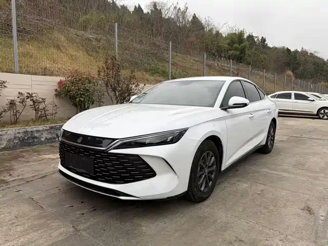 BYD QIN L 2025