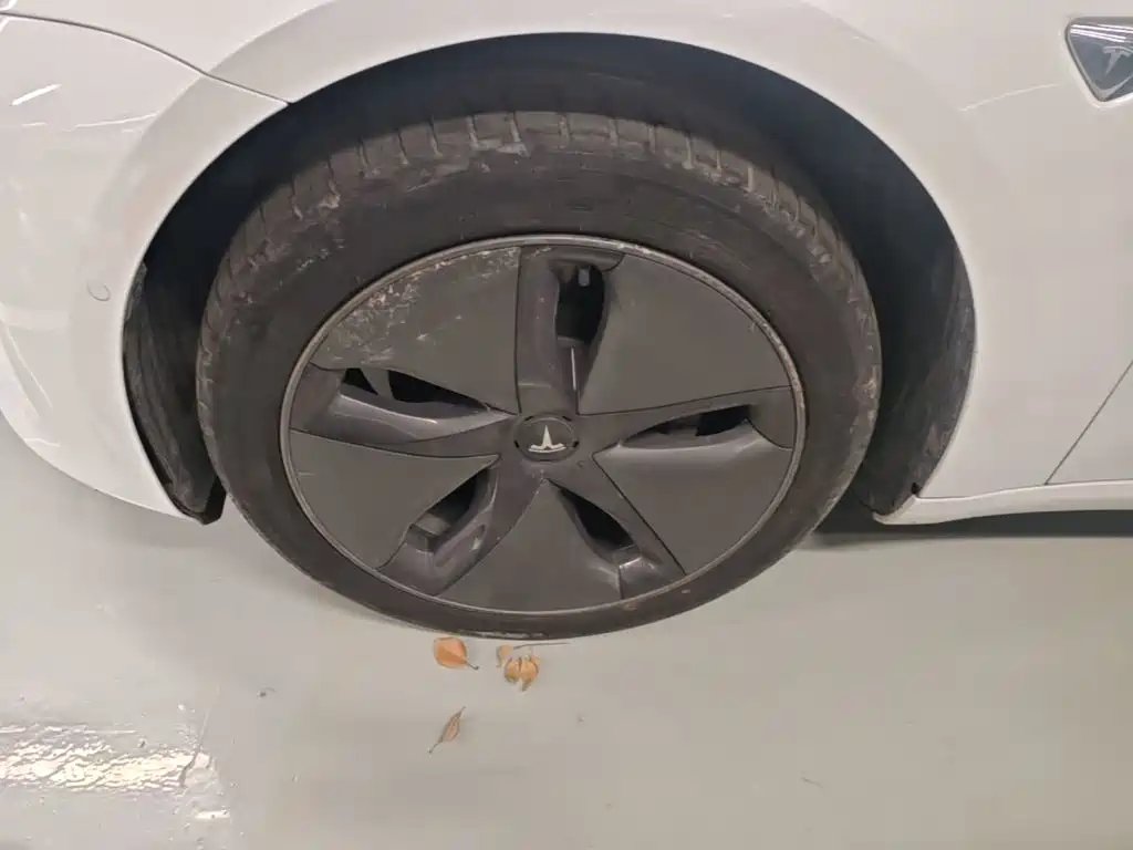 Tesla Model 3 — миниатюра 23