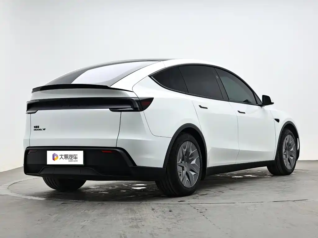 Tesla Model Y L — миниатюра 3