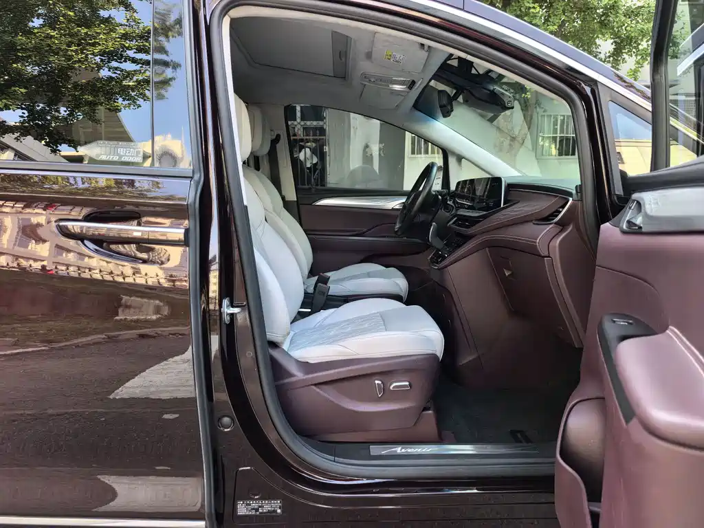 Buick GL8 — миниатюра 18
