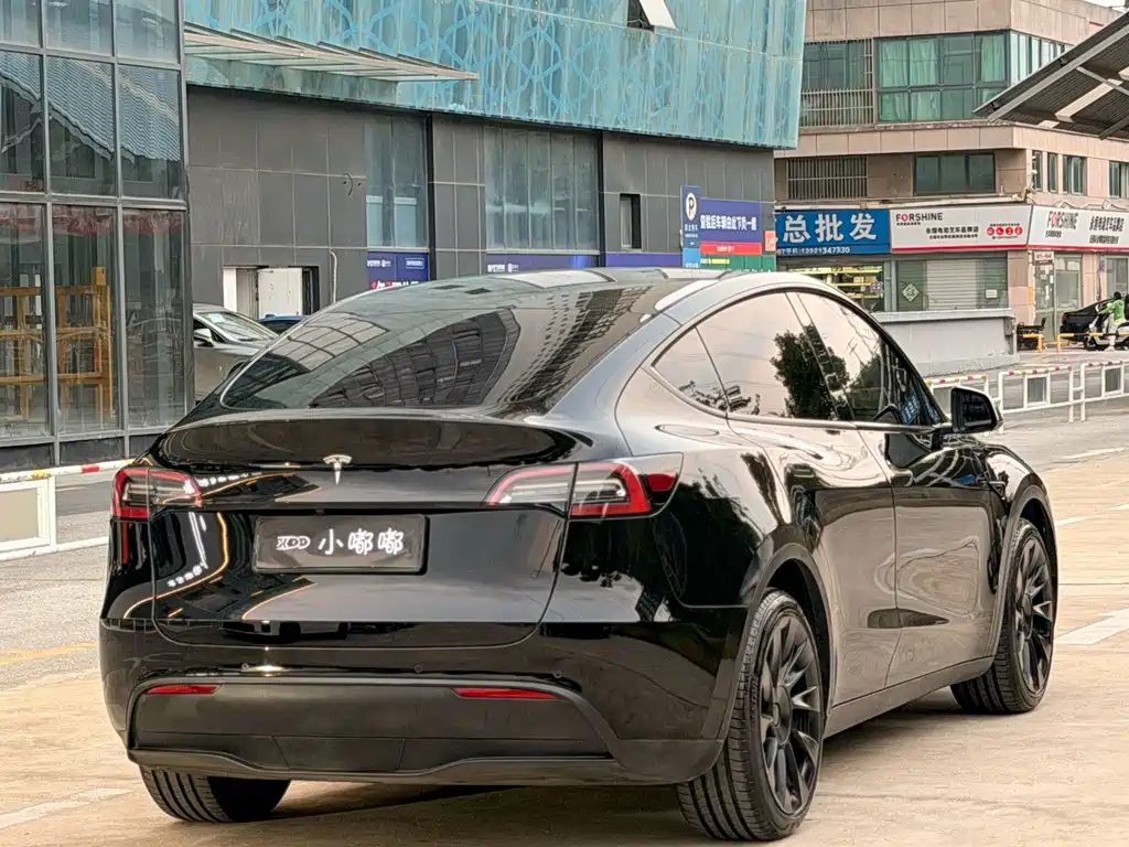 Tesla Model Y — миниатюра 10