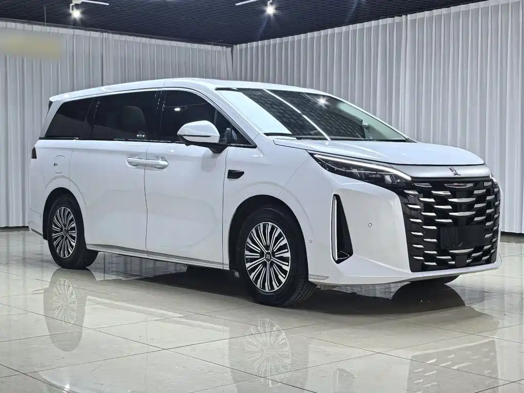 BYD Xia — миниатюра 23