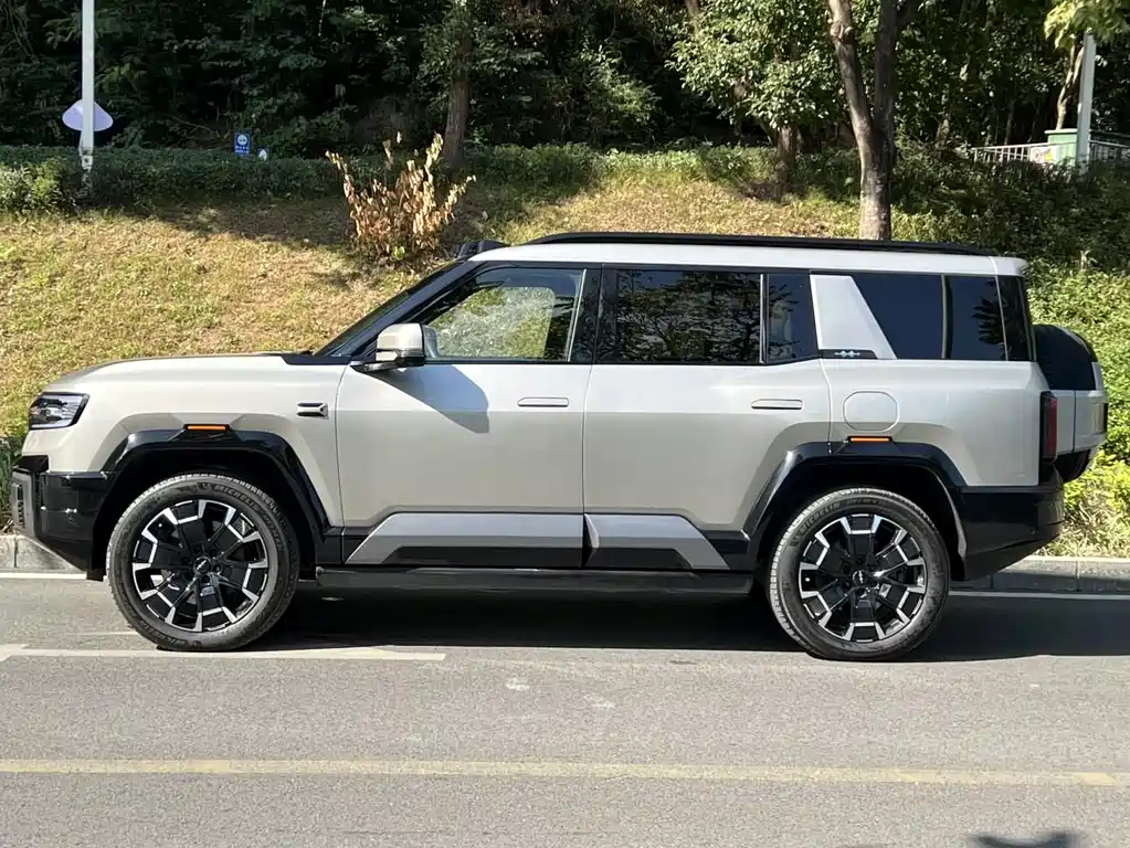 FANG CHENG BAO LEOPARD 8